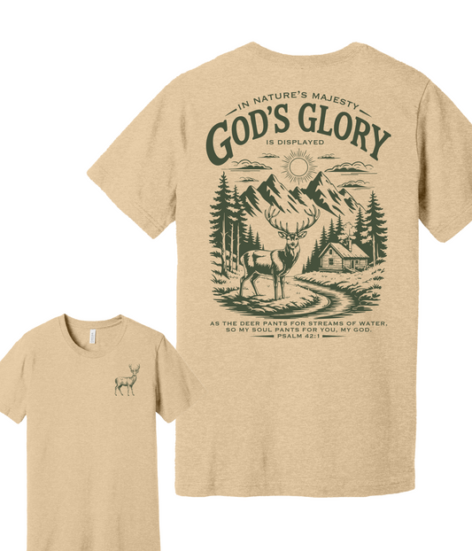 God’s Glory