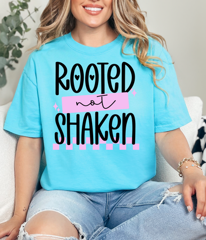 Rooted Not Shaken